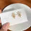 Amrav's Latest Stylish White Pearl Flower Korean Earrings for Women and Girls
